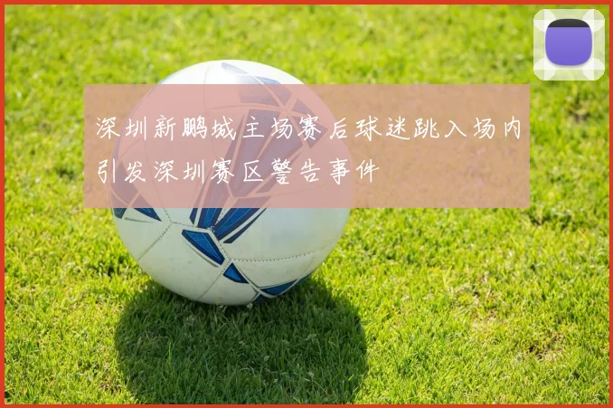 深圳新鹏城主场赛后球迷跳入场内引发深圳赛区警告事件