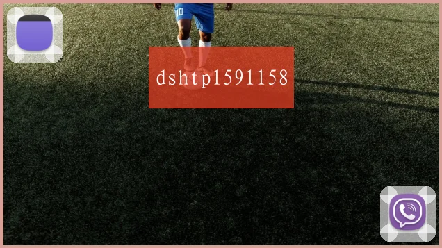 dshtpl591158