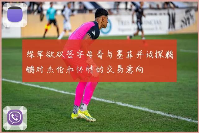 绿军欲双签字母哥与墨菲并试探鹈鹕对杰伦和怀特的交易意向